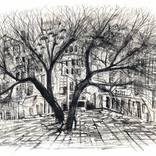 Tree by Boris Kasyanov