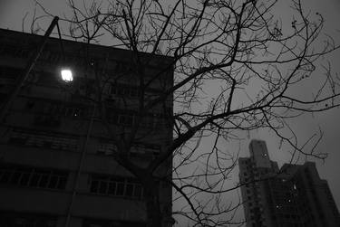 Street light, trees and building - Limited Edition of 15 thumb