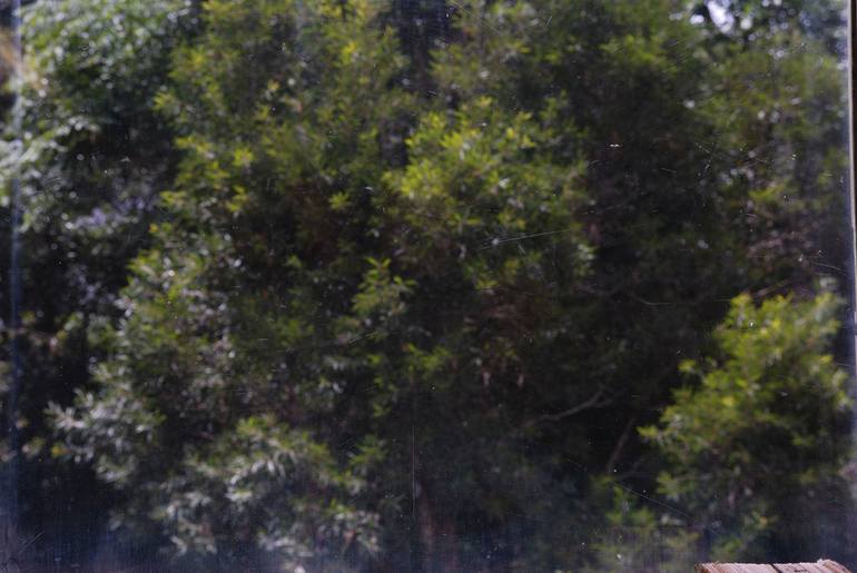 Window, trees - Limited Edition of 10 Photography by WL Chiu | Saatchi Art