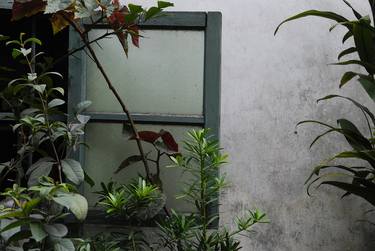 Window, plants and fading wall - Limited Edition of 10 thumb
