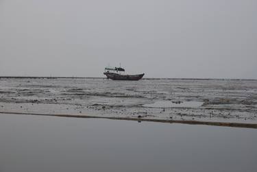 Print of Fine Art Boat Photography by WL Chiu