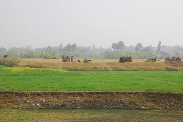 Farm Bangladesh - Limited Edition of 25 thumb