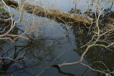 Branches shadow rock on water - Limited Edition of 7 thumb