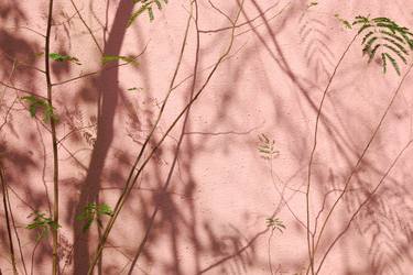 Original Abstract Wall Photography by Wl Chiu