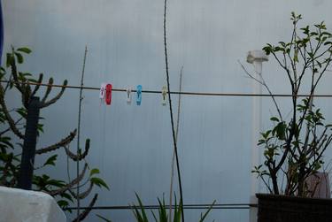 Cloth 5 hanging clips, plants - Limited Edition of 15 thumb