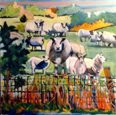 Sheep on farm in virginia thumb