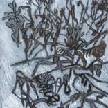 MARIGOLDS OVER WINTERTIME by Maia S Oprea