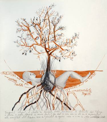 Original Nature Drawings by Maia S Oprea