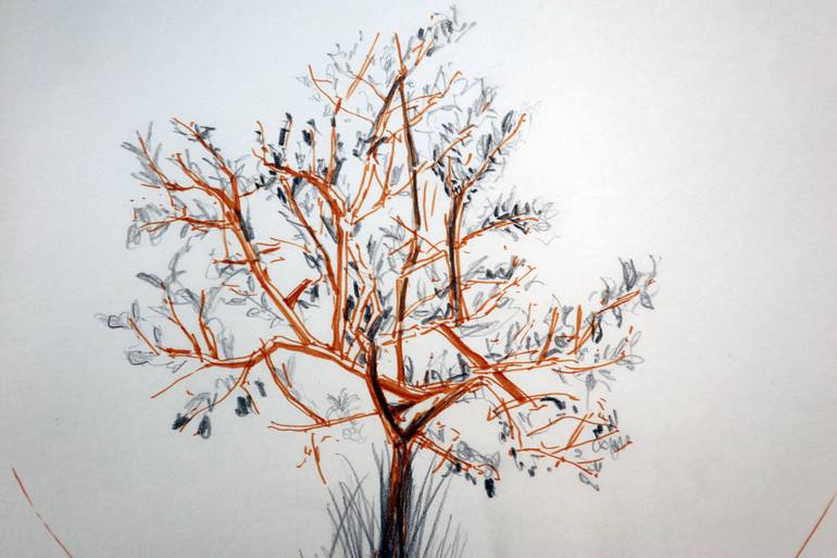 Original Nature Drawing by Maia S Oprea