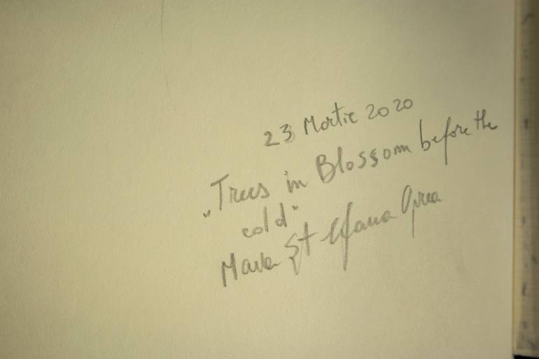 Original Expressionism Floral Drawing by Maia S Oprea