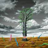 Collection Modern Paintings