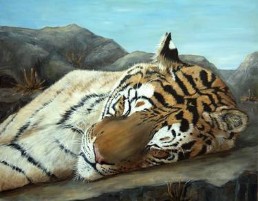 CAT NAP.  Oil on hand stretched linen thumb