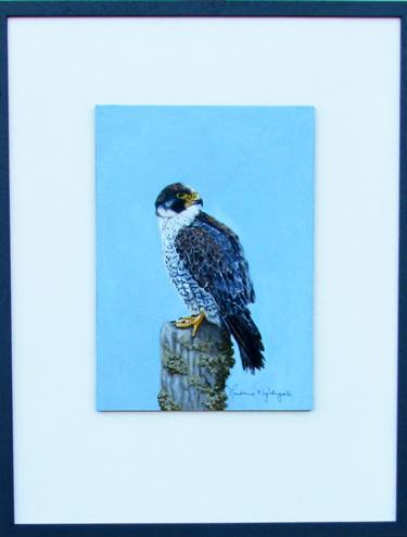 PEREGRINE FALCON PAINTED ON LEATHER thumb