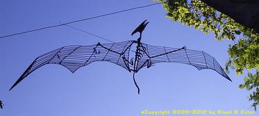 Saatchi Art Artist stahlundfarbe steelandcolor; Photography, “Steel wire sculpture Flying pr” #art