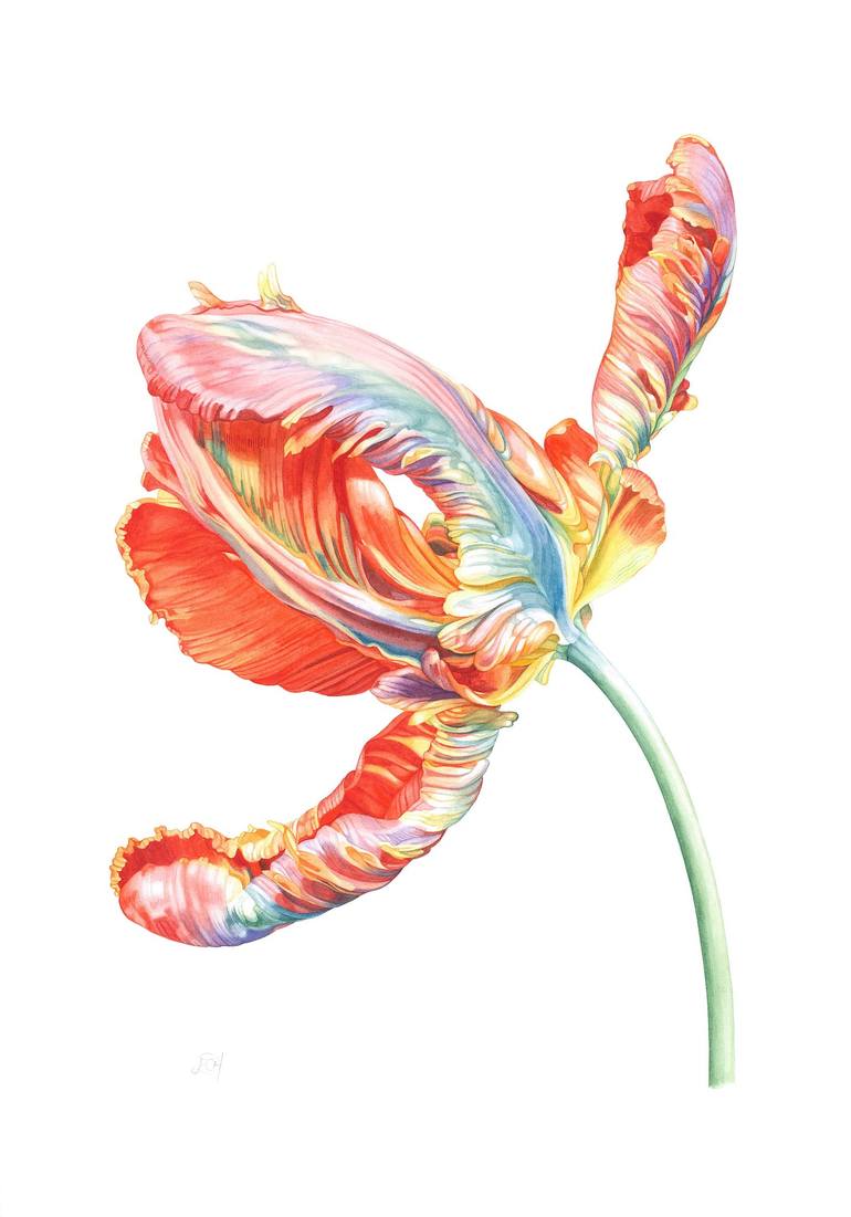 Parrot tulip Painting by Elizabeth Hellman | Saatchi Art