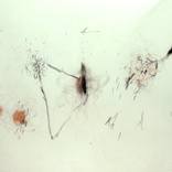 Collection Abstracts