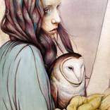 The Girl and the Owl by Michael Shapcott