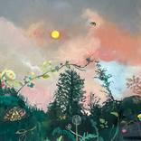 Pretty fly at dusk by DAISY Clarke