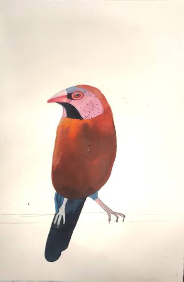 Original Animal Paintings by Daisy Clarke