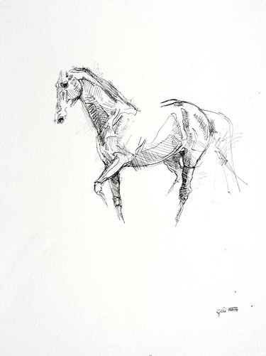 Equine Nude 28a thumb