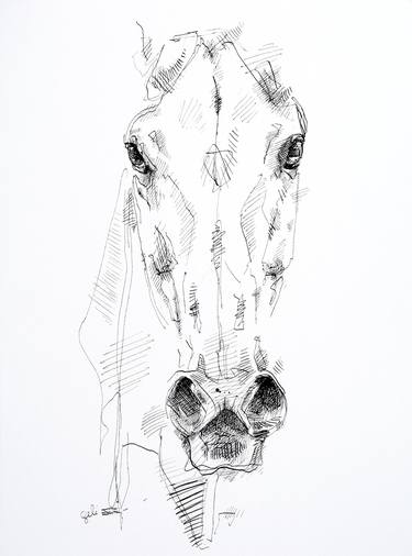 Original Expressionism Horse Drawings by Benedicte Gele