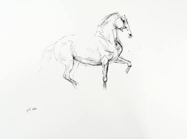 Equine Nude 30a thumb