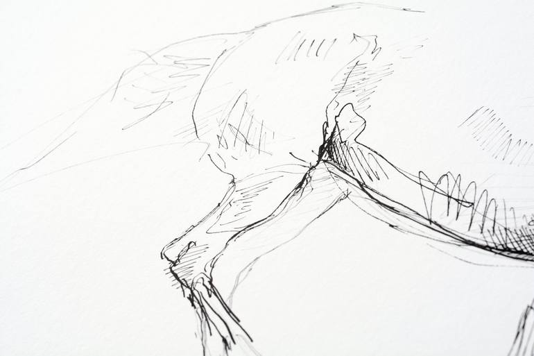 Original Horse Drawing by Benedicte Gele