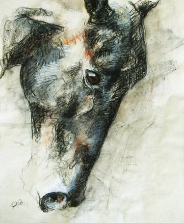 Print of Animal Drawings by Benedicte Gele