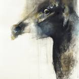 Collection Bronson van Wyck (Event Designer)