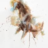 Equine Nude 299 by Benedicte Gele