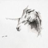 Equine Nude 300 by Benedicte Gele