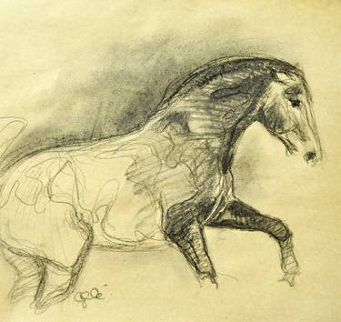 Original Animal Drawings by Benedicte Gele