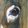 Art oil painting of an eye of a donkey, front view.

::: Medium: oil, finished with a varnish, signed on front
::: Support: linen canvas, without frame, sent rolled in a tube. Painting done on stretcher but I remove it for the sending (Don't hesitate to contact me if you want to keep the stretcher).
::: Size: 31.5 x 15.7 in / 80 x 40 cm
::: Year: 2007