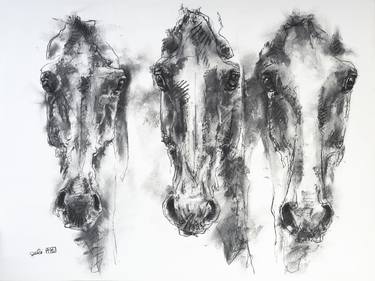 Original Horse Drawings by Benedicte Gele