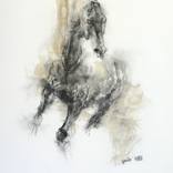 Collection Inktober 2017