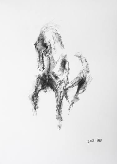 Equine Nude 6p image