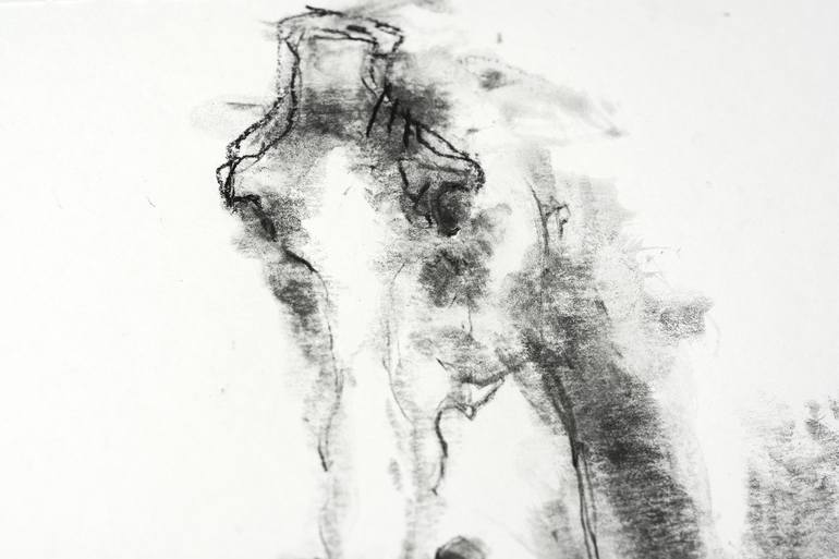 Original Expressionism Horse Drawing by Benedicte Gele