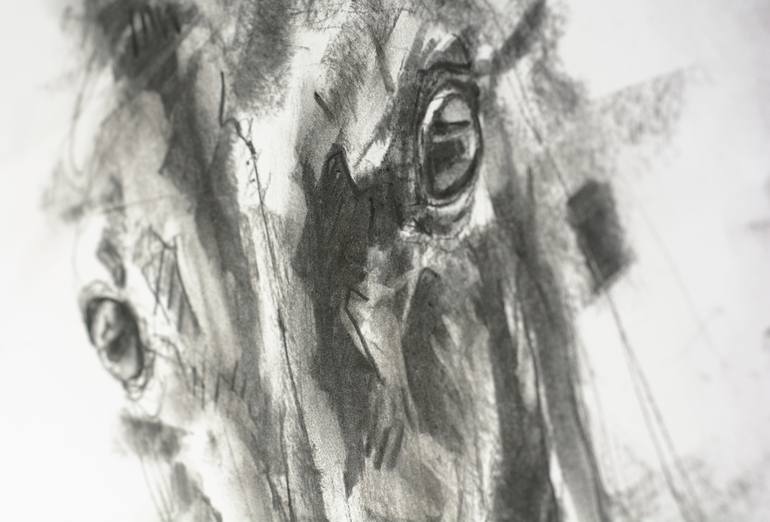 Original Horse Drawing by Benedicte Gele