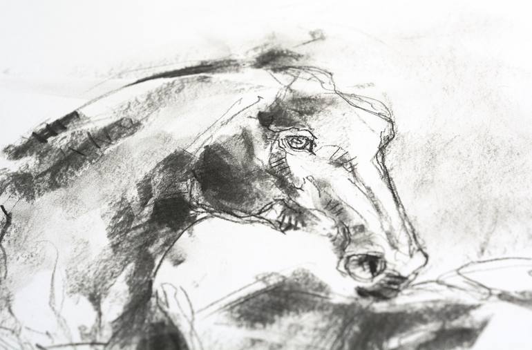 Original Horse Drawing by Benedicte Gele