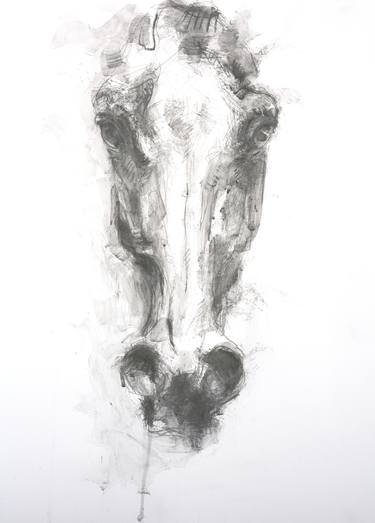 Print of Horse Drawings by Benedicte Gele