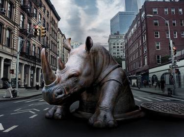 Rhino surprise in the city (Limited Edition Print) thumb