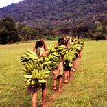 Collection NY OE Prints