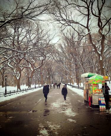 Winter in Central Park • Archival Pigment limited edition of 12 museum quality prints - Limited Edition of 12 thumb