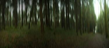 forest panorama blurred thumb