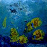 Angel Fish by Jody Richardson