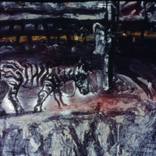 Zebra by Jody Richardson