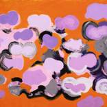 Collection Del otro lado del cielo [On the other side of the sky]