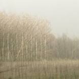 Collection Invierno
