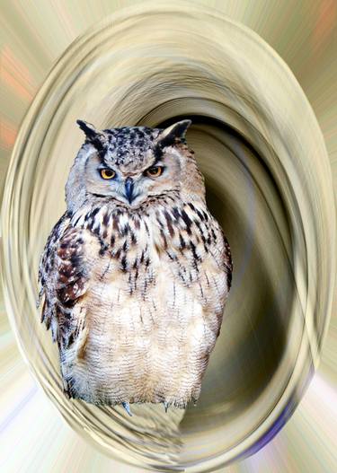 Owl Abstract No. 11 thumb