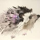Violet hedgehog by Tina Brosi